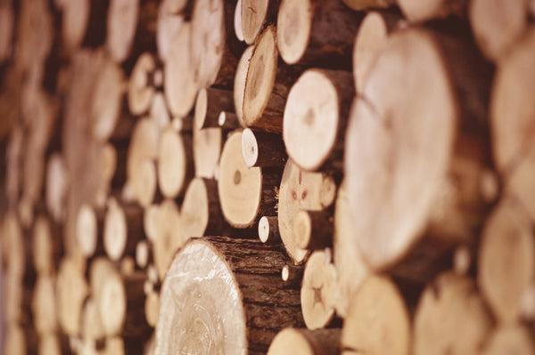 Sustainable Garden Sheds: Which Shed Materials Are Best?