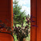 Larkspur Corner Summerhouse (7' x 7')