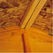 10'x10' Double Door Overlap Shed