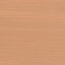 Protek Wood Stain & Protect - Biscuit