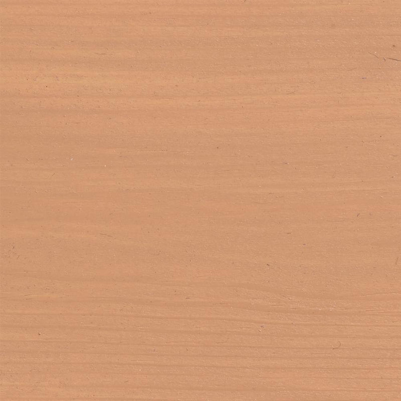 Protek Wood Stain & Protect - Biscuit