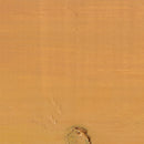 Protek Wood Stain & Protect - Mustard Yellow
